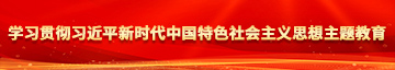 乖让我插入你的逼逼视频学习贯彻习近平新时代中国特色社会主义思想主题教育